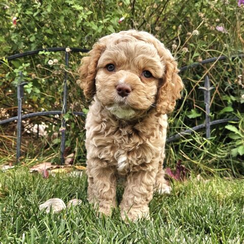 20241101_1603041-480x480