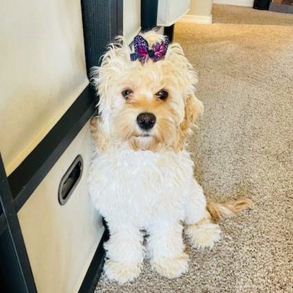 FullSizeR2-e1671487546290