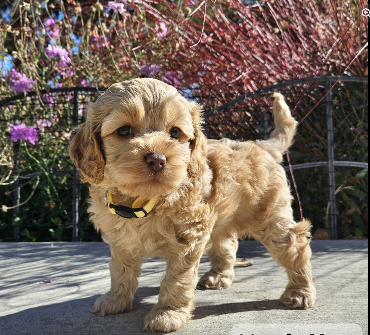 Screenshot 2026-03-29 at 2.03.33 AM