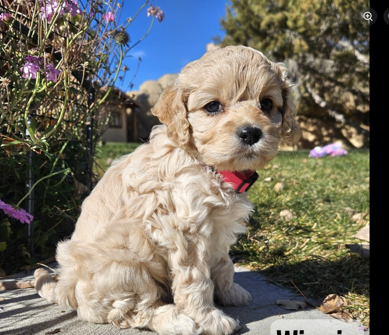 Screenshot 2026-03-29 at 2.03.45 AM