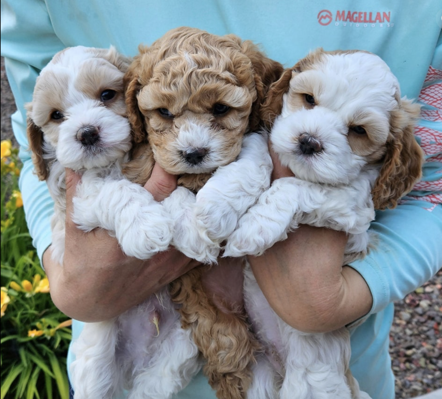 Screenshot 2026-03-29 at 2.05.18 AM