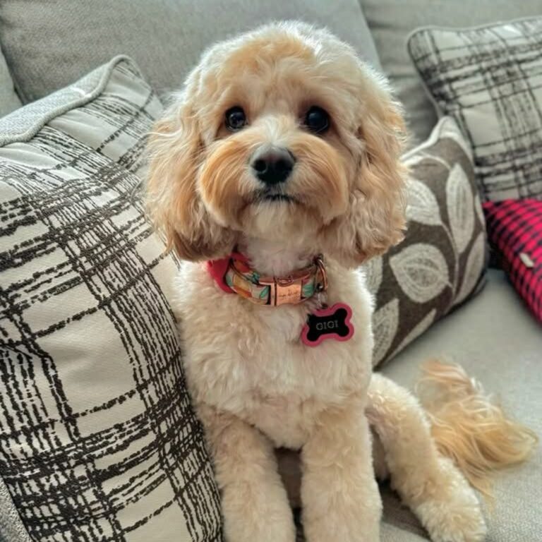 Screenshot_20260418_211311_Facebook[1]