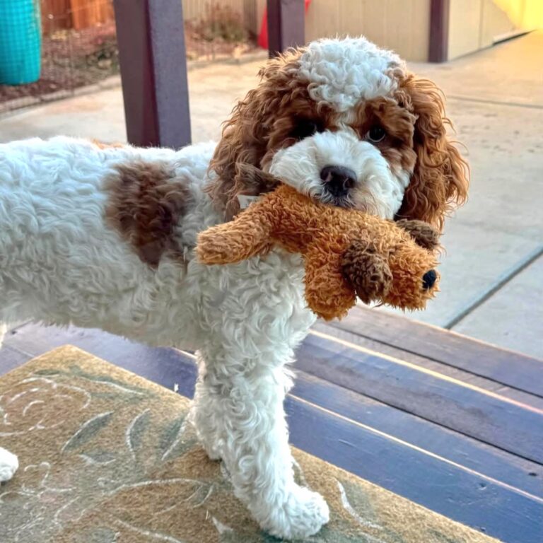 Screenshot_20260418_215833_Facebook[1]