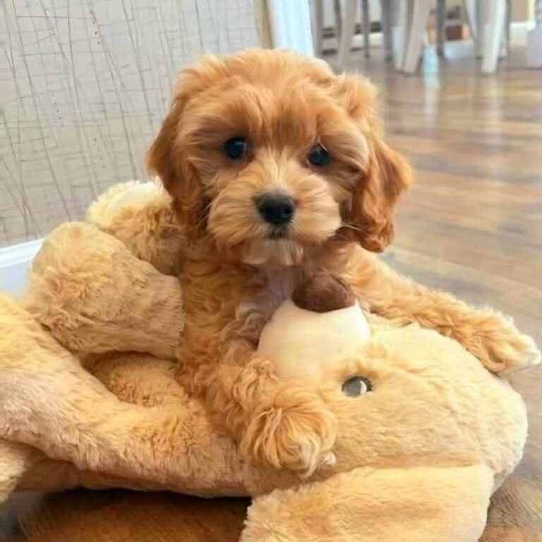 Screenshot_20260418_221057_Facebook[1]