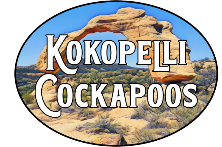 Kokopelli Cockapoos